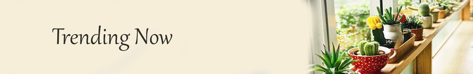 Trending-Now Banner Image